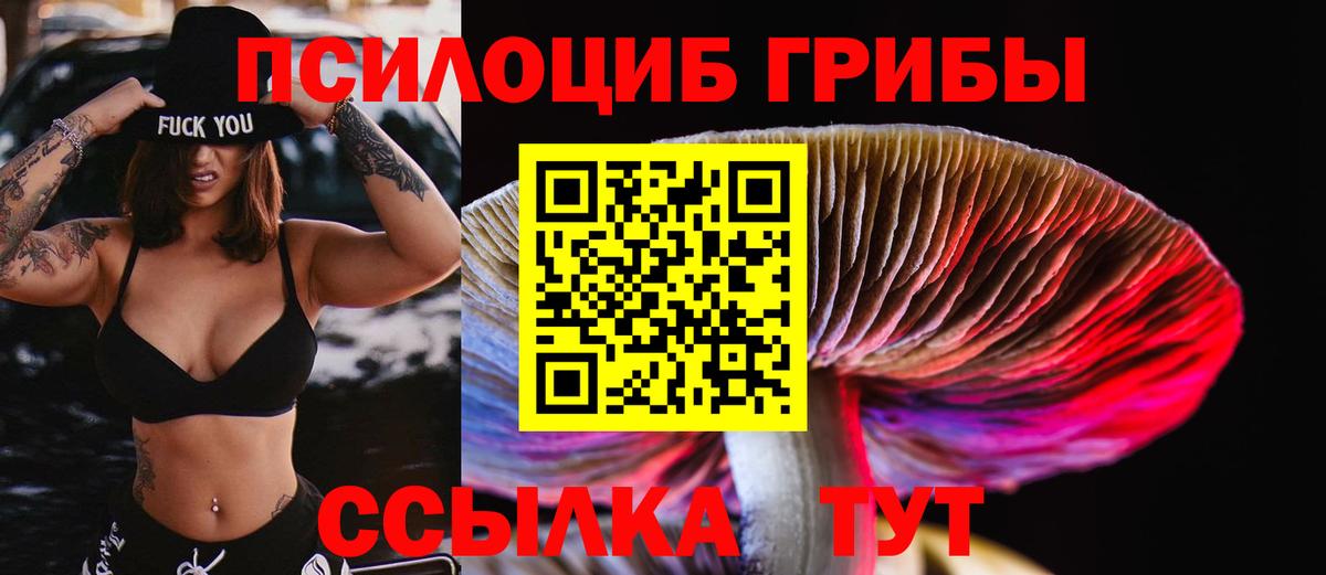 Галлюциногенные грибы прущие грибы Добрянка