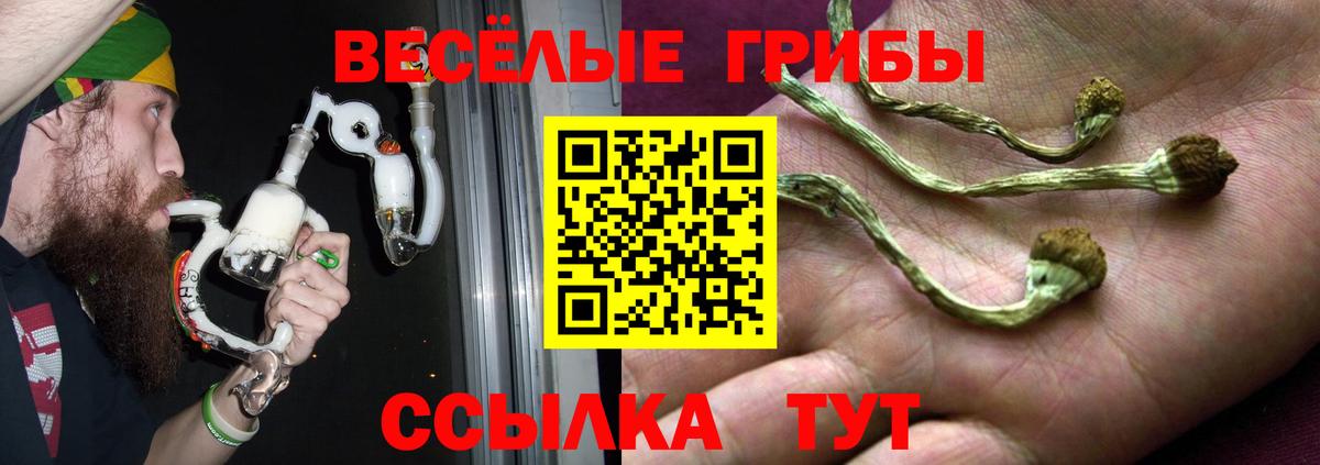 Галлюциногенные грибы Psilocybine cubensis  Псилоцибиновые грибы Magic Shrooms  Вход с VPN  Добрянка 